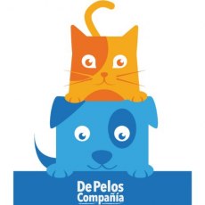 Petstages Gimnasio Wobble Track Para Gatos